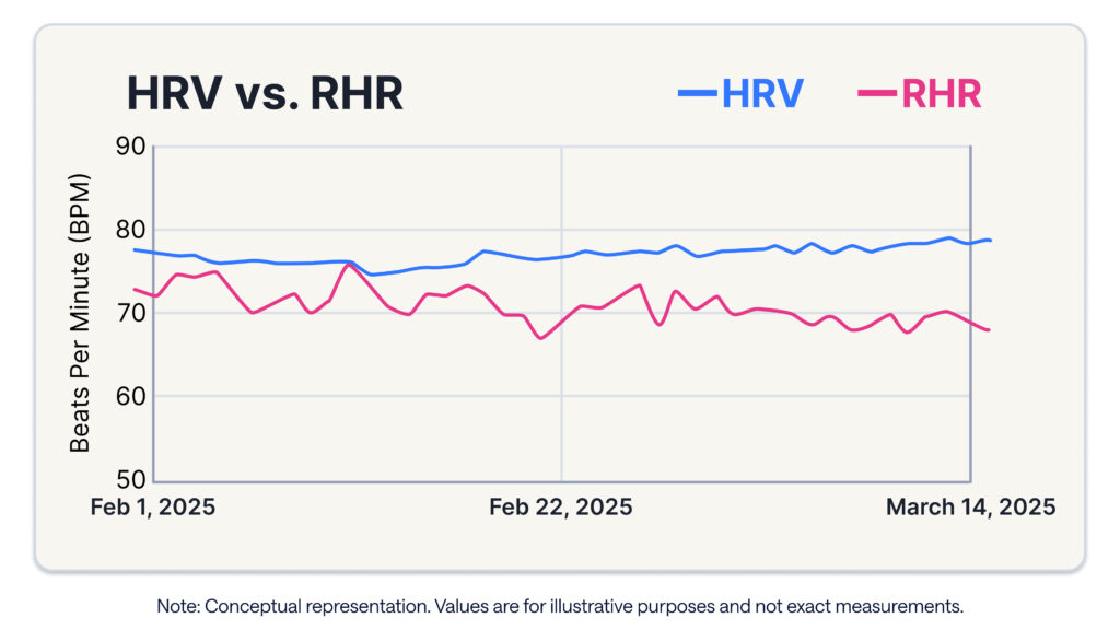 visual representation of the relationship between heart rate variability and resting heart rate, monitored in TrainingPeaks