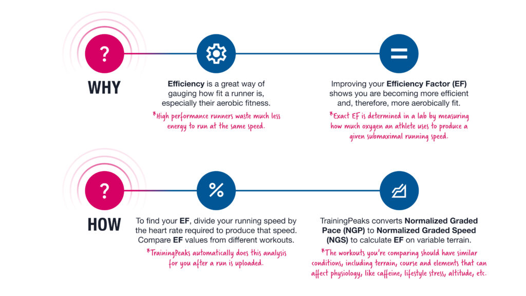 Efficiency factor in running explained