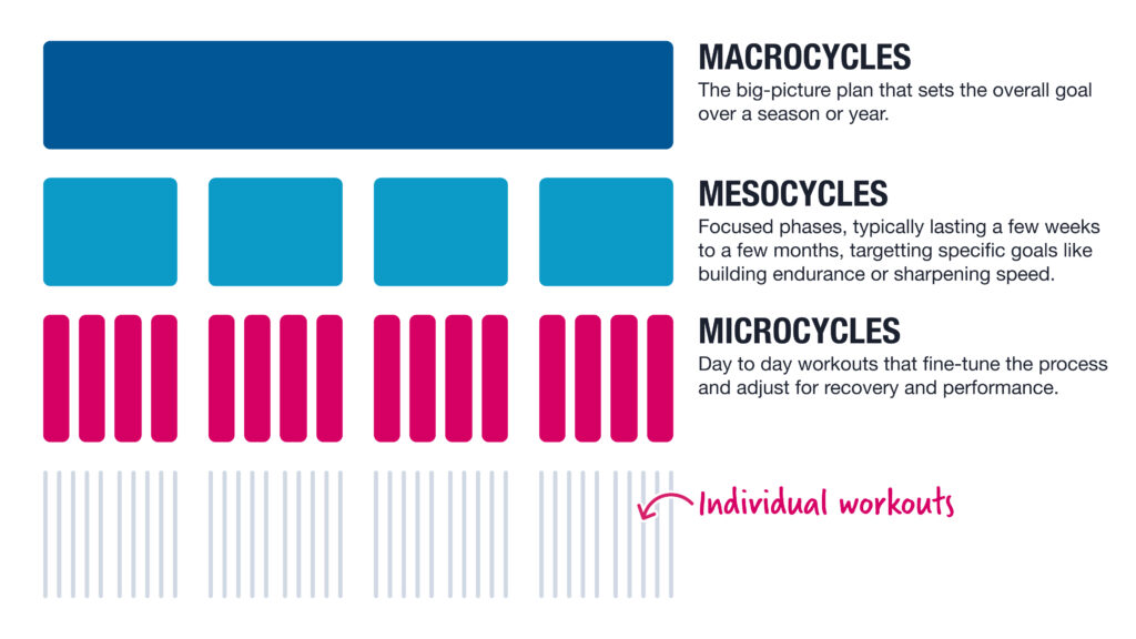 Macrocycles, mesocycles, and microcycles explained in periodized training