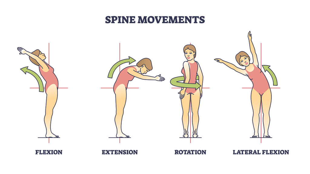 Adobestock 702060084