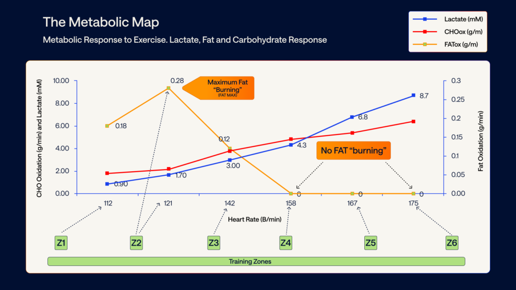 metabolic response to exercises, lactate, fat and carbohydrates based on Dr. San-Mill&aacute;n&rsquo;s research