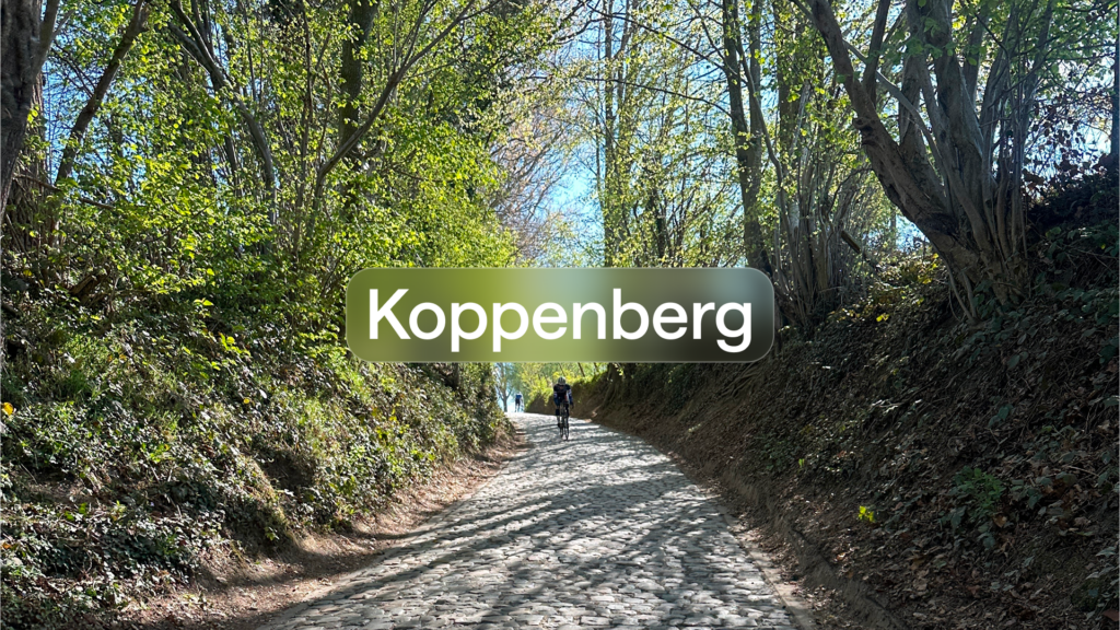 image of famous cycling route Koppenberg, now available to ride in TrainingPeaks Virtual